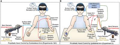 Fusion of dual modalities of non-invasive sensory feedback for object profiling with prosthetic hands